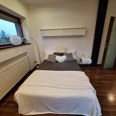 Alloggio in famiglia Ubytovani V Rodinnem Domku Praga